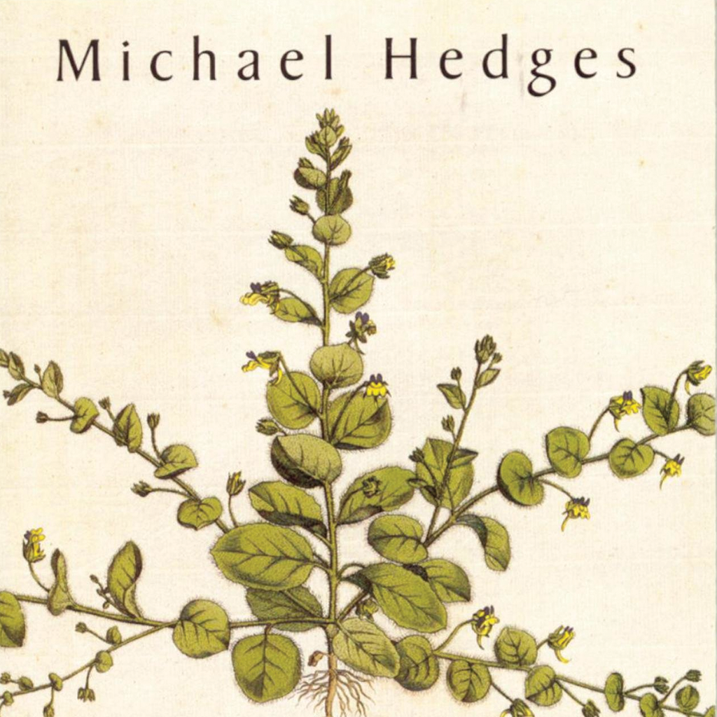 Michael Hedges - Taproot