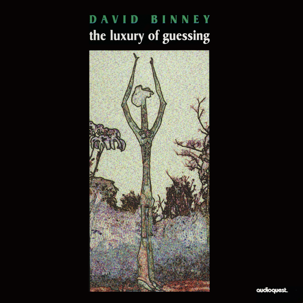 David Binney - The Luxury of Guessing