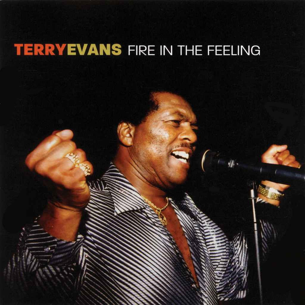 Terry Evans - Fire In the Feeling